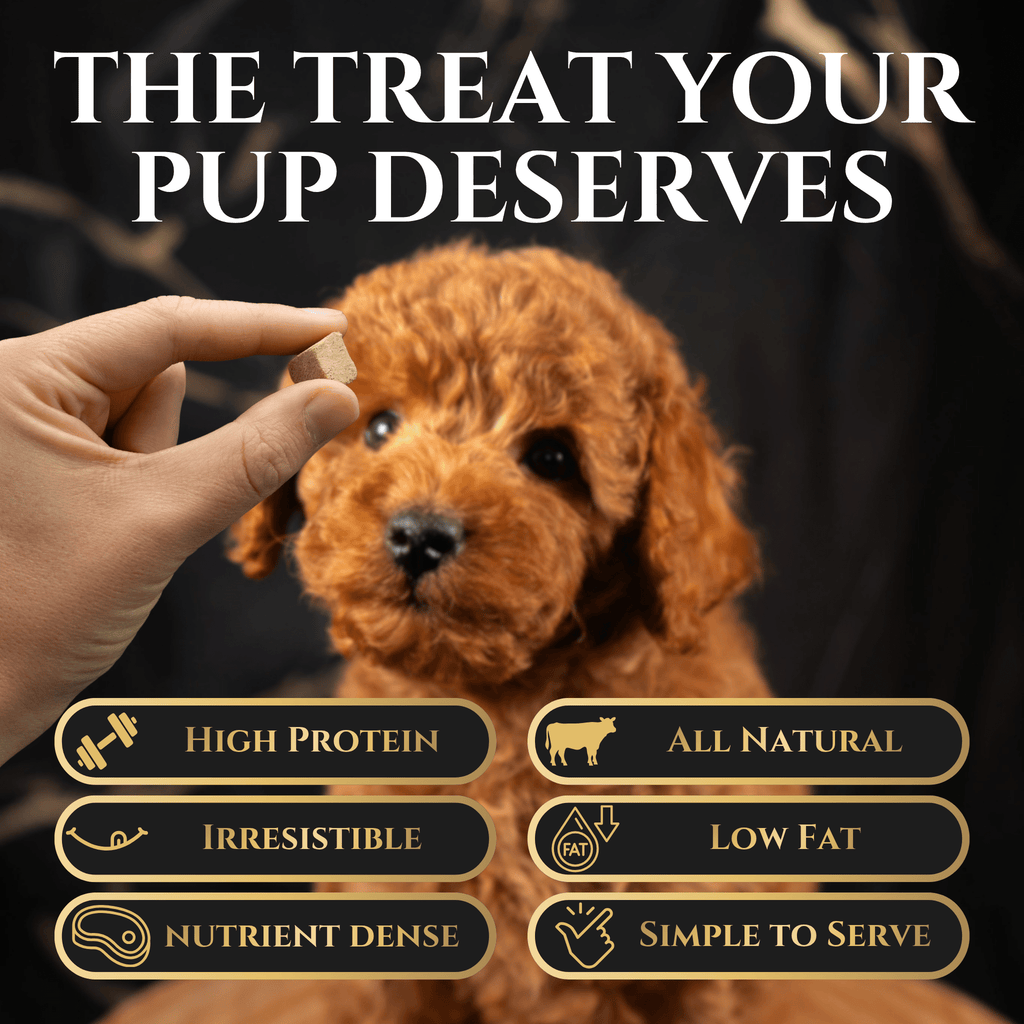 Freeze-Dried Beef Liver Dog Treats