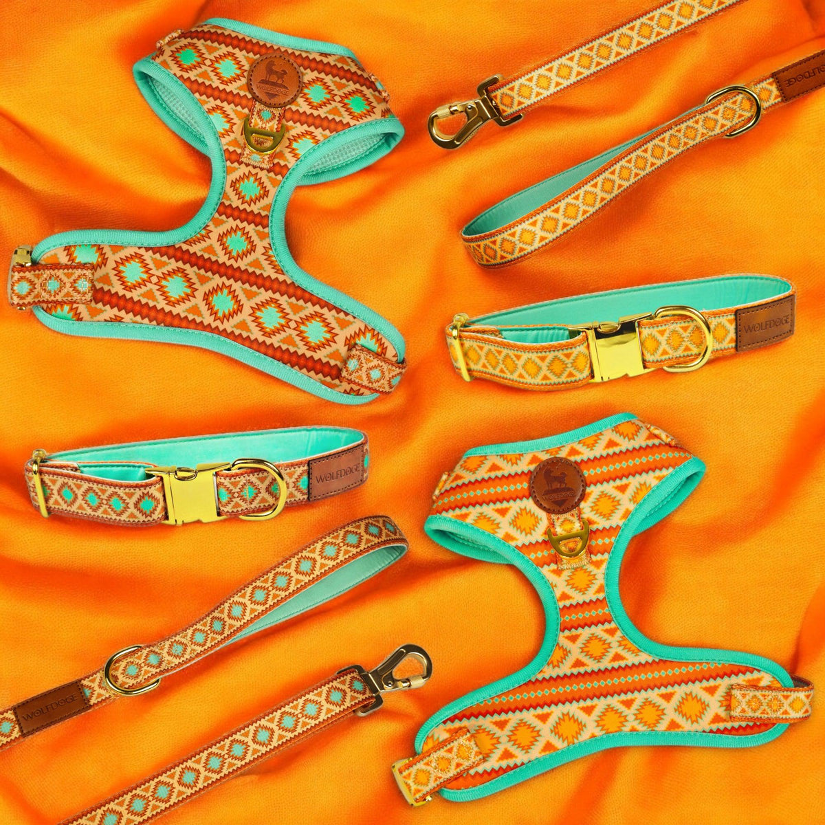Southwest Spirit Leash