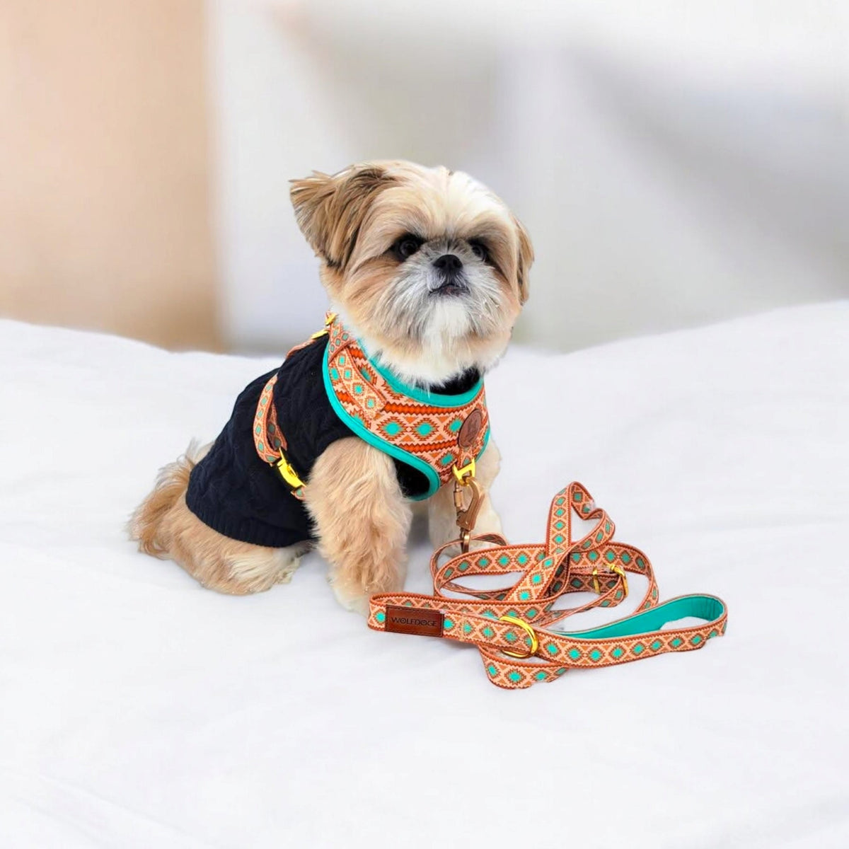 Southwest Spirit Leash
