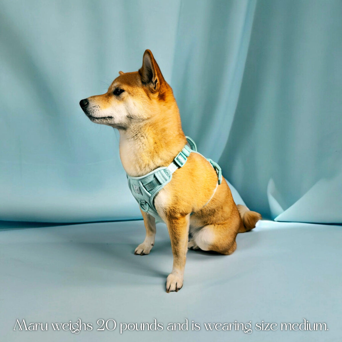 Wolfdoge Signature Harness