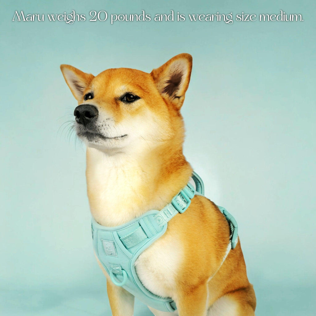 Wolfdoge Signature Harness