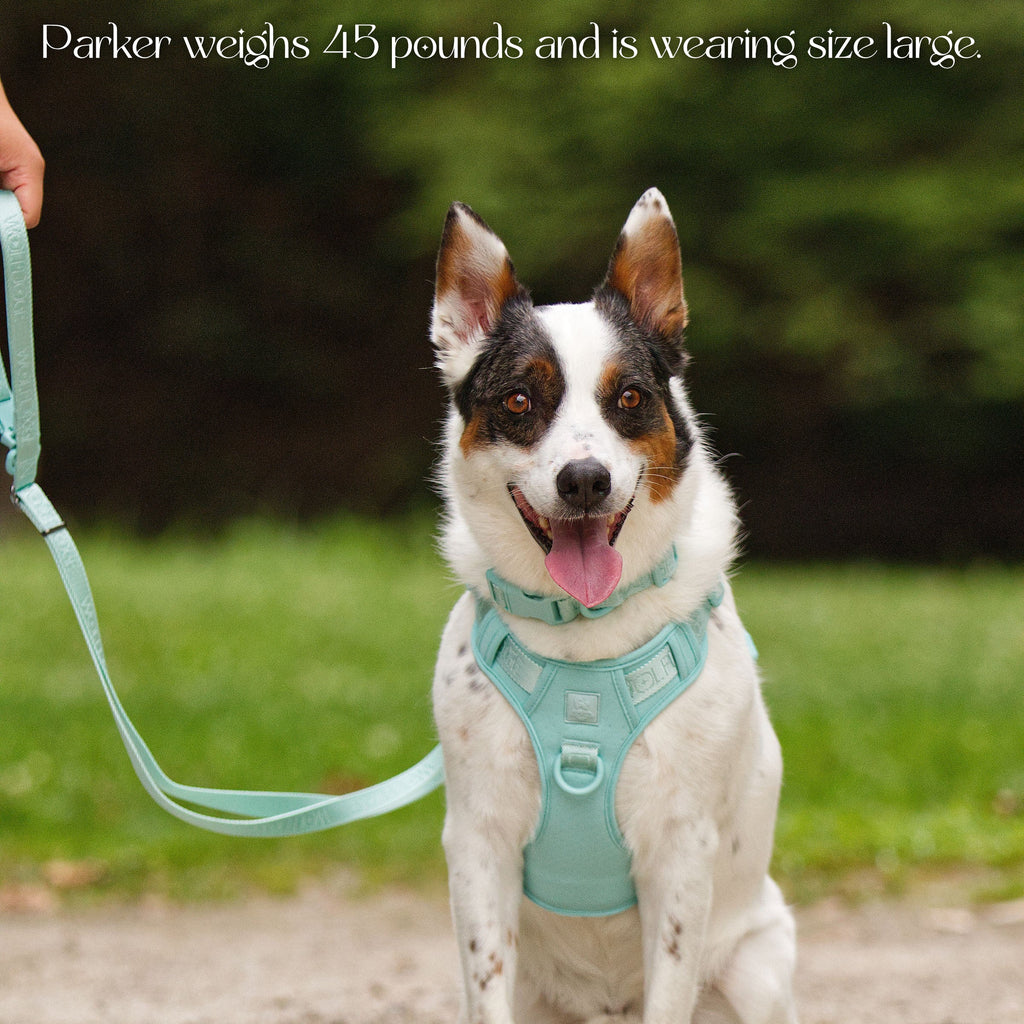 Wolfdoge Signature Harness